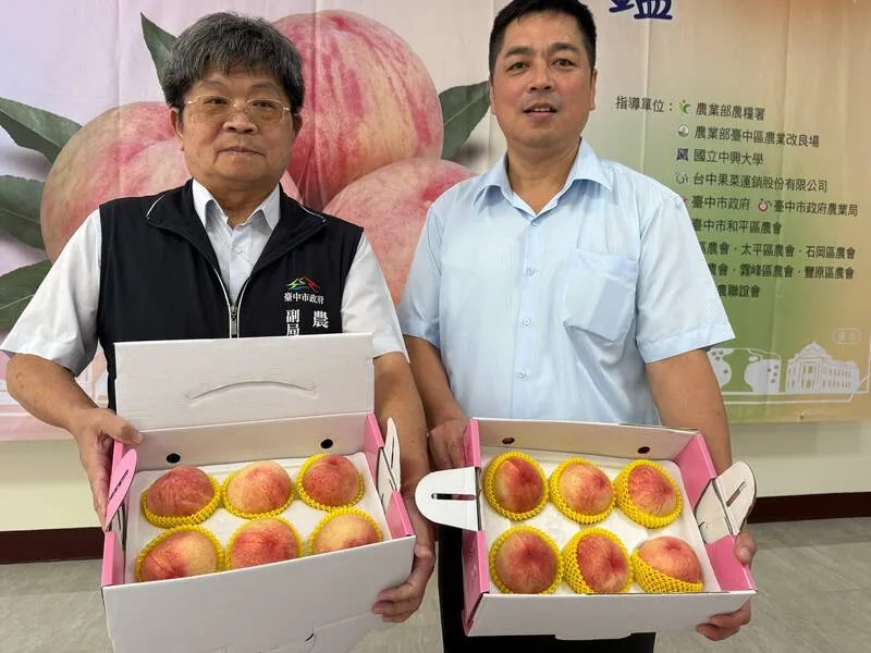 「台中領鮮」梨山水蜜桃 限時免運、產地直送鮮甜到家