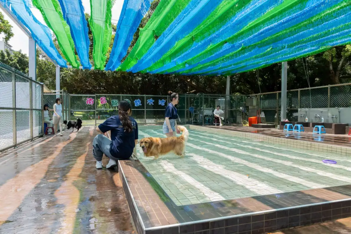 新竹規劃「狗狗戲水池」　納高齡犬水中復健、大小犬分區