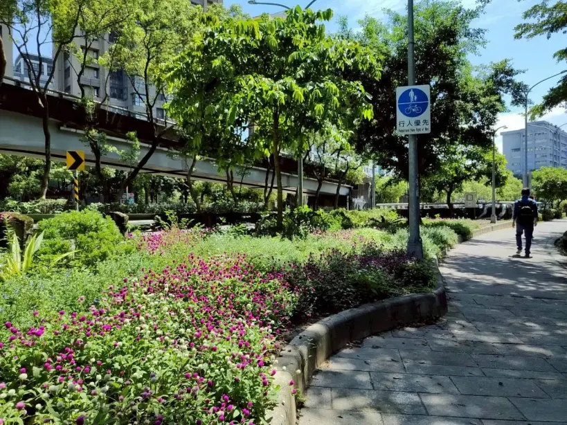 信義路五段藏英式花徑　30種植栽串聯象山打造城市綠廊
