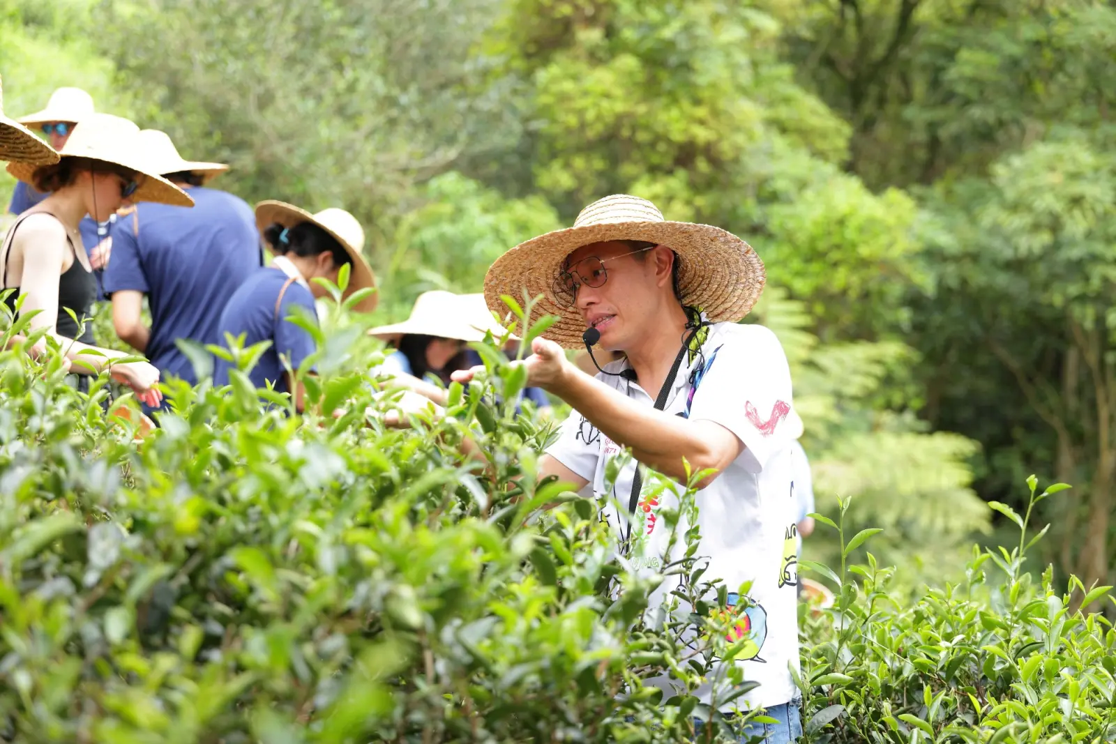 新北青農李昌峻深耕有機茶　攜手在地茶農拓展國際市場