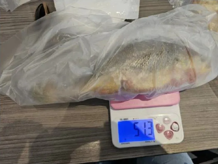 北市抽驗32件生鮮水產品　黃魚、海膽2件不合格