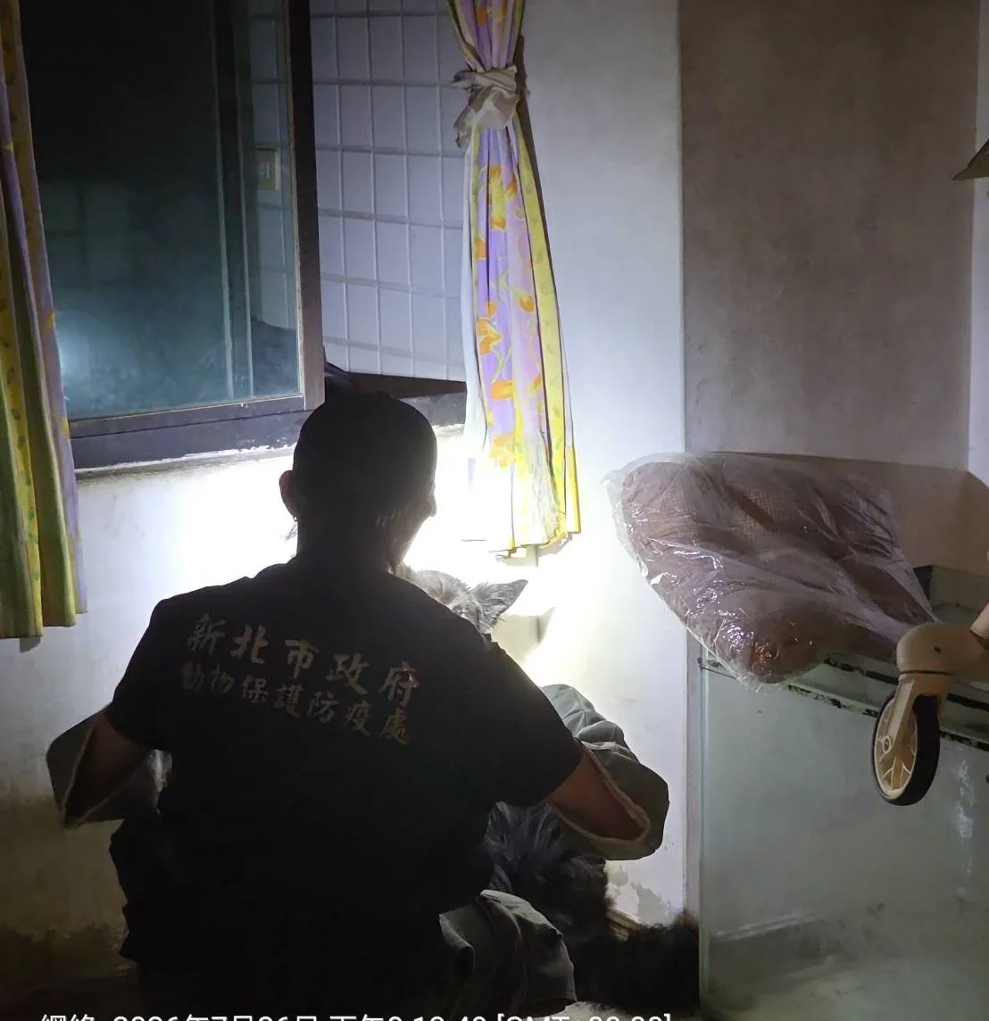 新北首創住宅租賃寵物飼養約款　房客失聯、租約終止毛孩照護責任明確化
