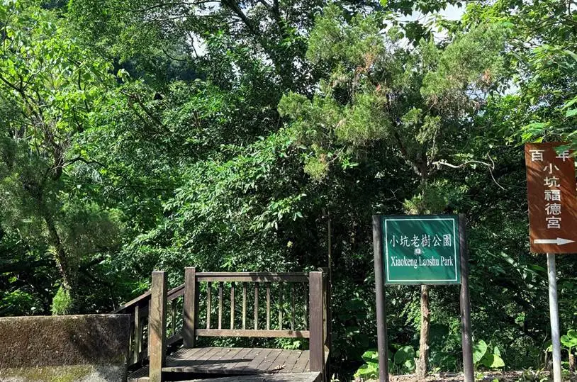 600公尺小坑溪步道　藏百年老樹與土地公