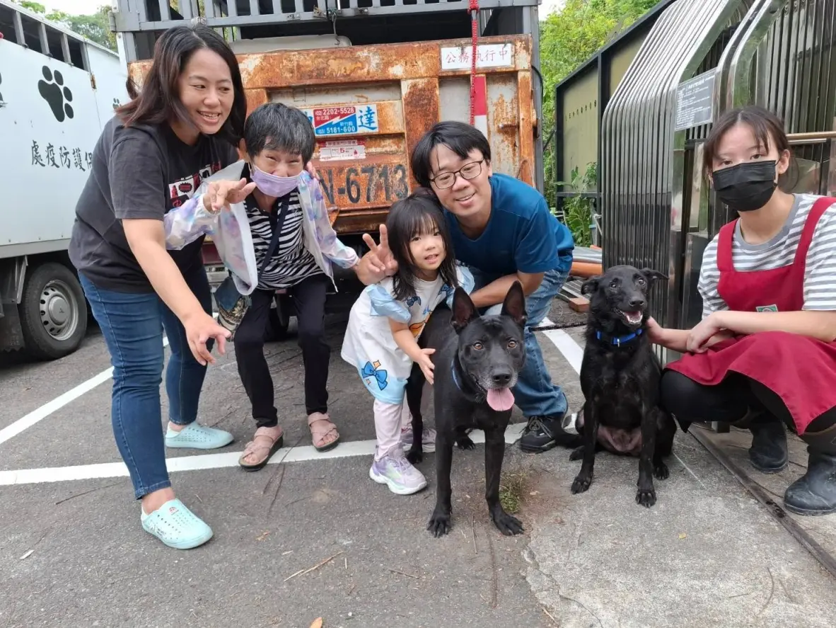 3隻收容犬拚治療犬　新北徵人犬搭檔培訓