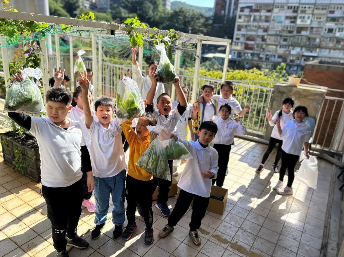 北市3校獲水保酷學校認證　食農、防災走進校園